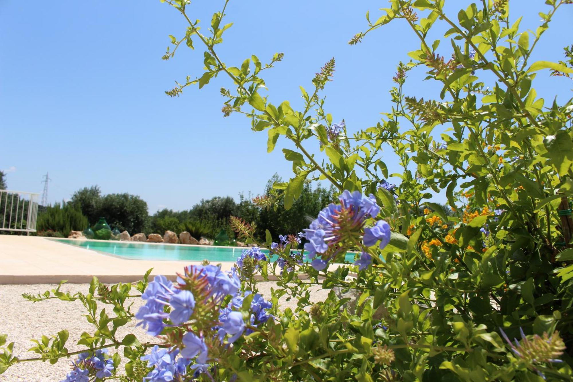 Maison d'hôtes Trullo Il Melograno à Ostuni Extérieur photo