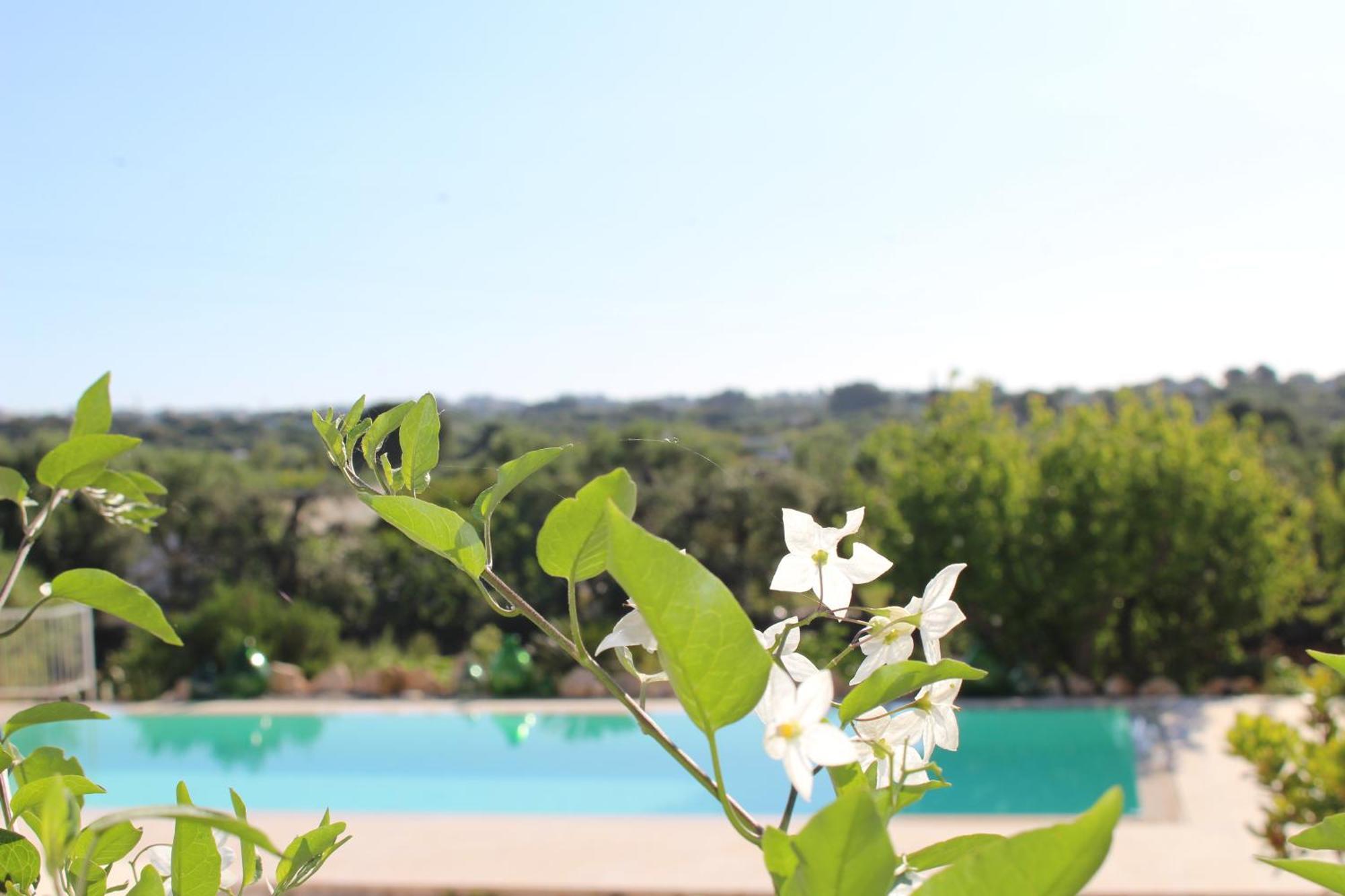 Maison d'hôtes Trullo Il Melograno à Ostuni Extérieur photo