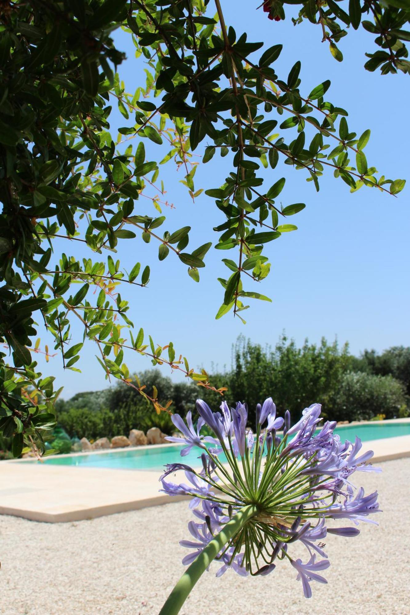 Maison d'hôtes Trullo Il Melograno à Ostuni Extérieur photo